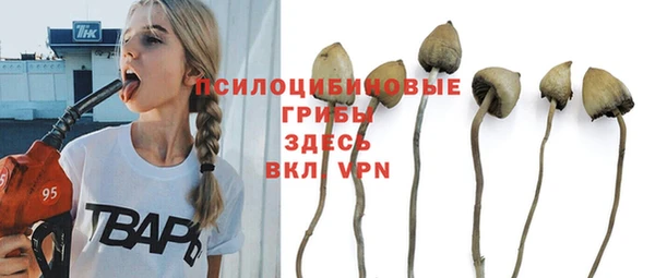 дживик Белокуриха