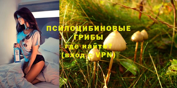 дживик Белокуриха