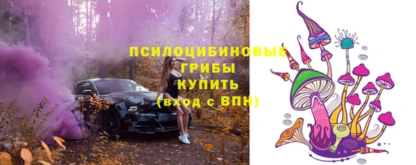 стафф Беломорск