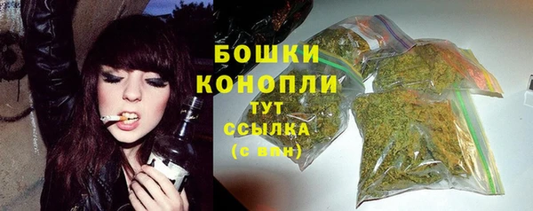 дживик Белокуриха