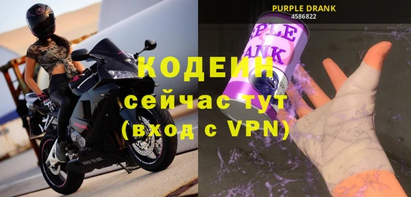 дживик Белокуриха