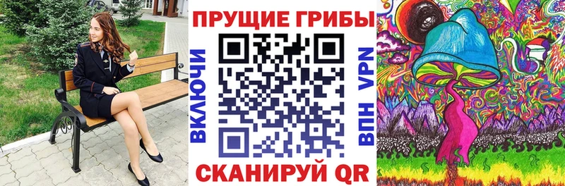 Галлюциногенные грибы Psilocybine cubensis  Покровск 